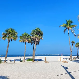 Aktivitäten in Cape Coral