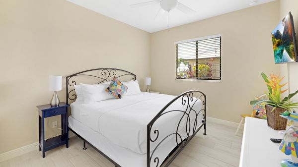 PLEMONTIS - Southern Exposure - Waterview 21