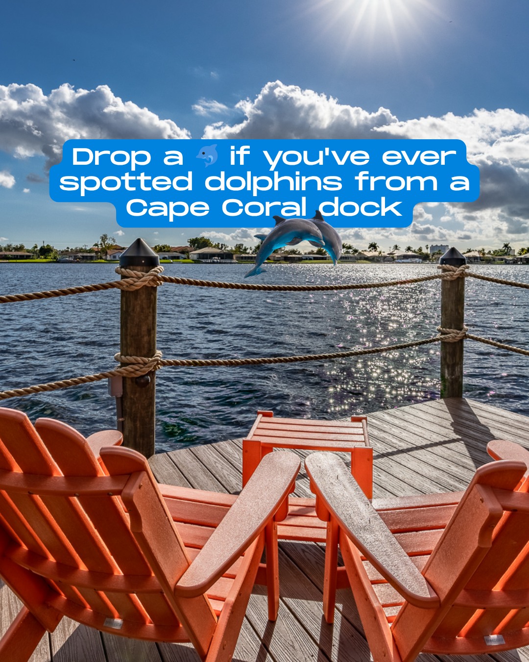 Okay but… spotting dolphins from your dock? 🐬
That’s a different kind of moment.

Have you experienced it? 

#FloridaVacation #GulfAccess #CapeCoral