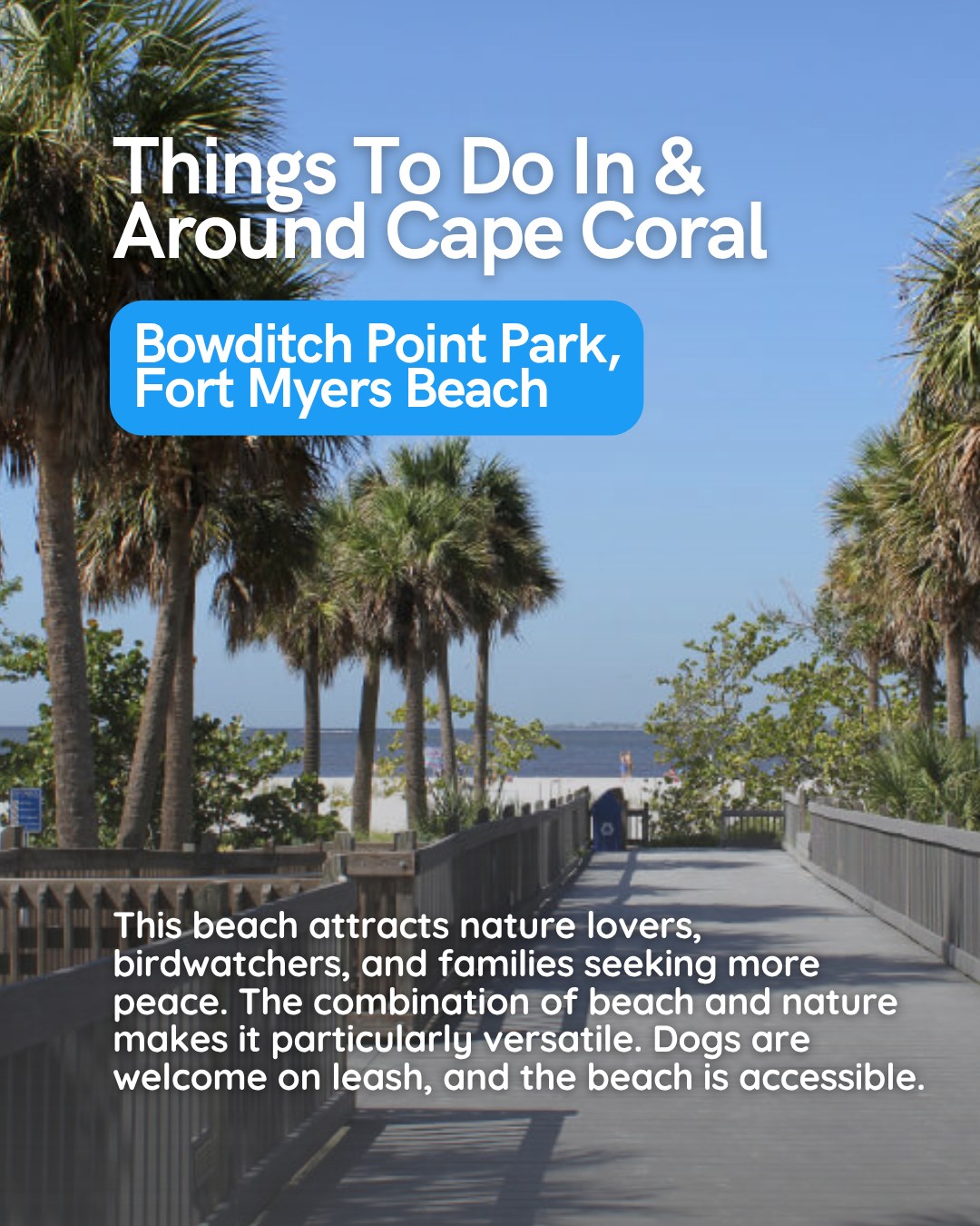 25–35 mins from Cape Coral. Completely worth it.

📍 Bowditch Point Park, Fort Myers Beach 

#CapeCoralFlorida #FortMyersBeach #BowditchPoint #Seabim