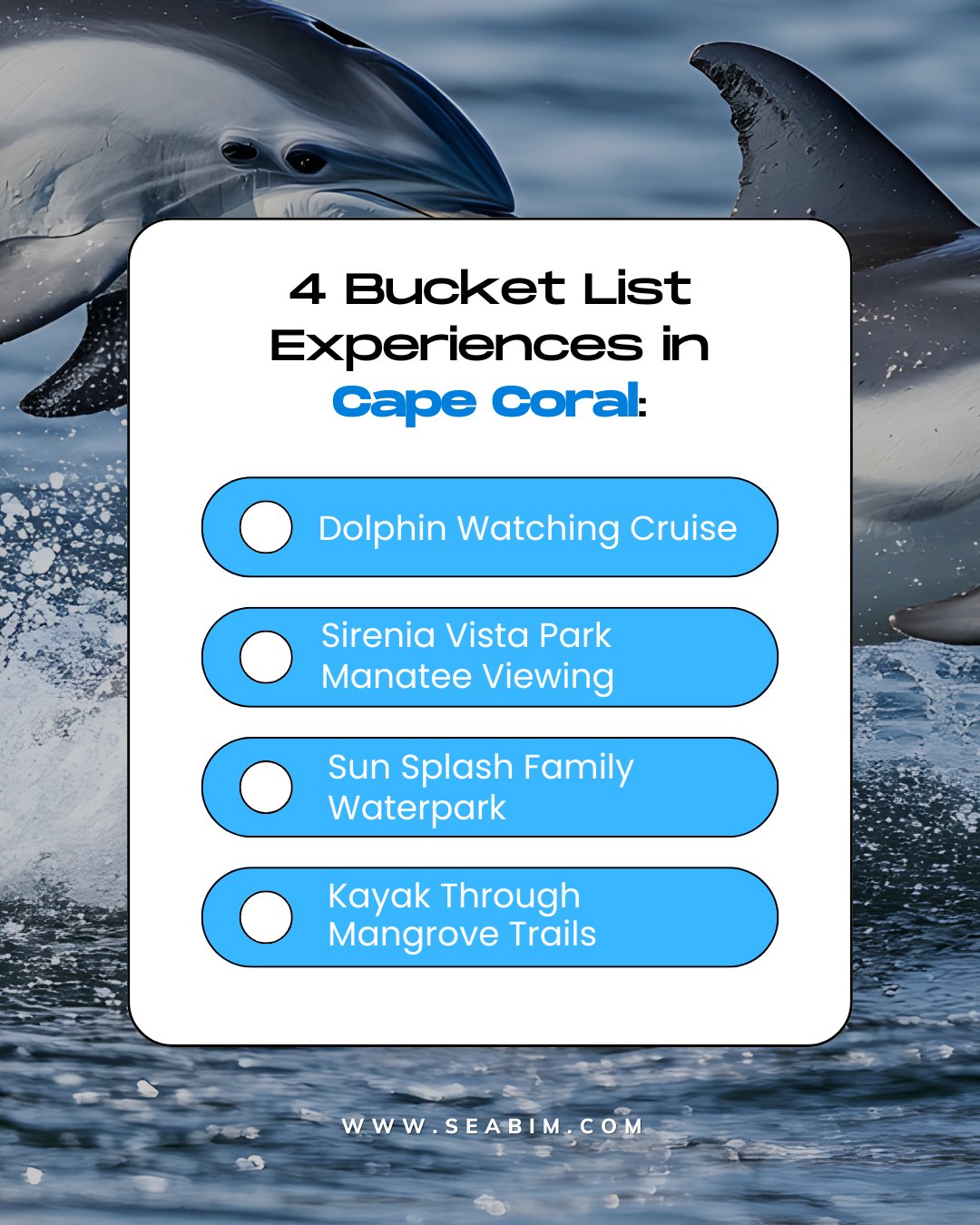 Which one are you doing first?🚤 🌅 🏝️ 🐬

 #Seabim #Vacationrentals #CapeCoral #Florida